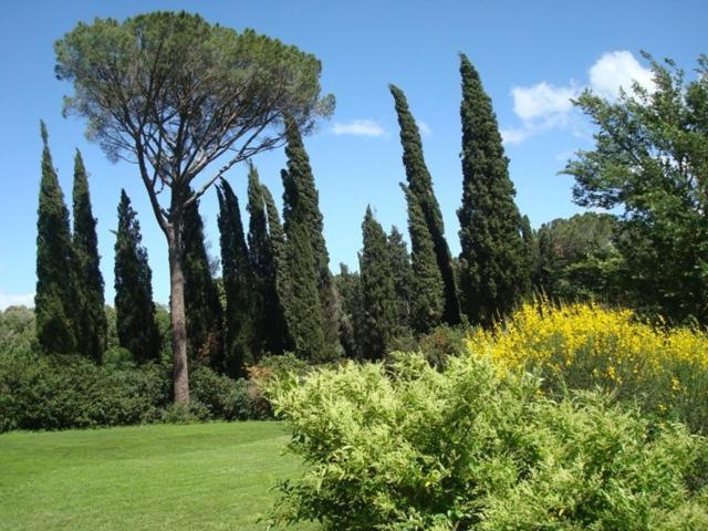 Al Giardino Degli Etruschi Chiusi Quarto foto